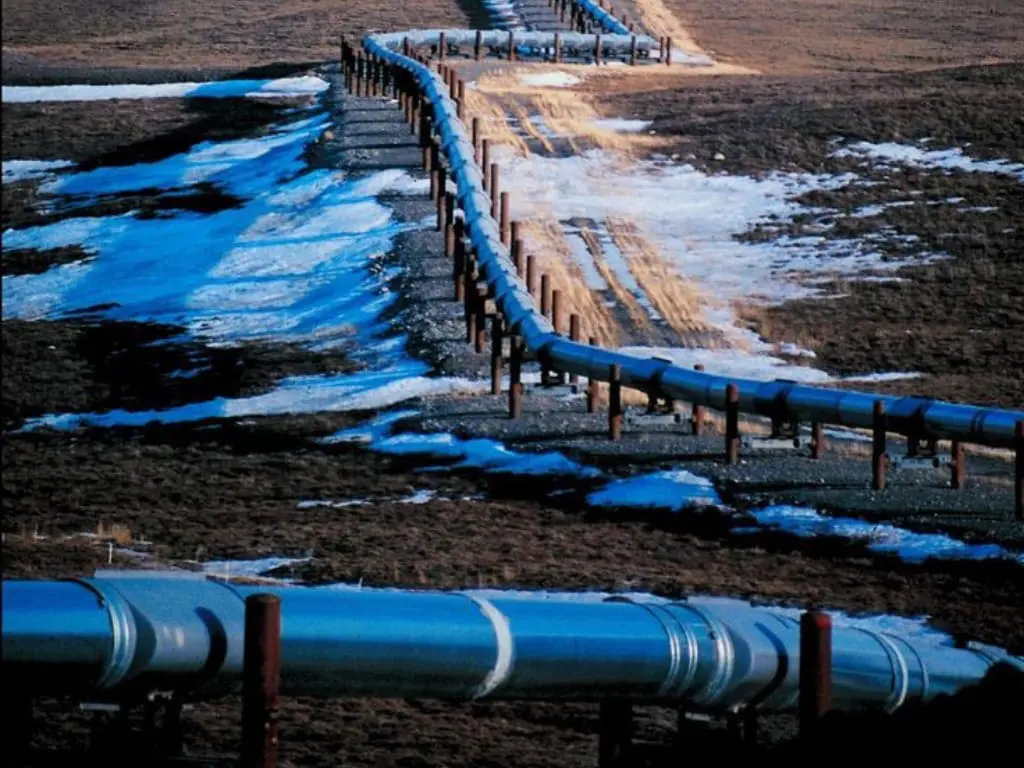 Réponse Rapide : Comment une Action Immédiate Peut Réduire les Impacts d'une Solution contre les Déversements de Pétrole ?