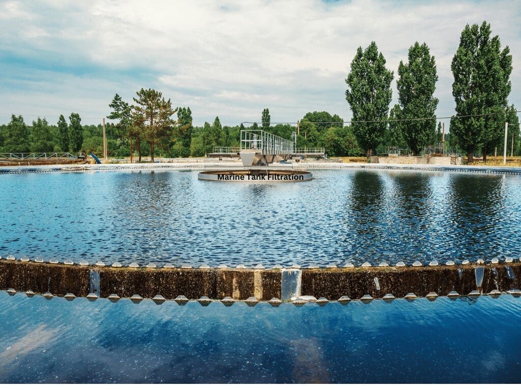 Filtration des Aquariums Marins : Guide Ultime pour l'Entretien des Aquariums d'Eau de Mer